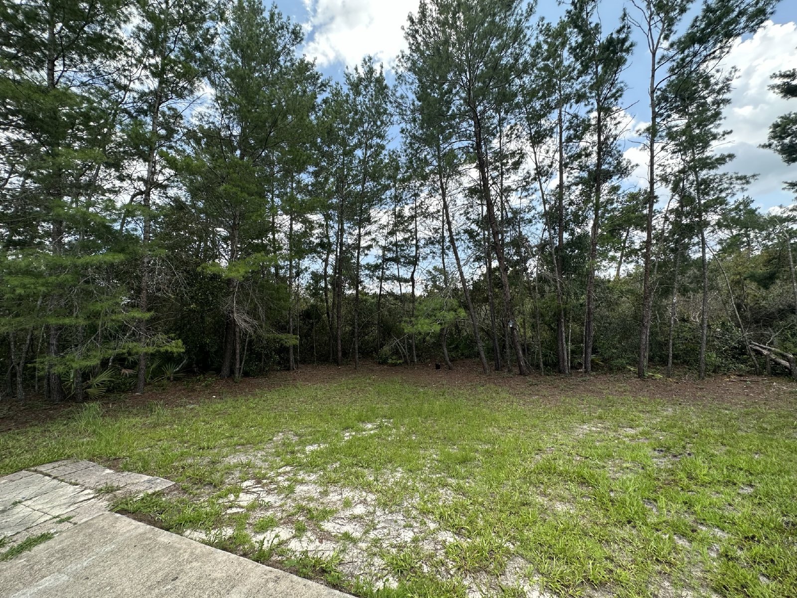Deltona - 3 Bedroom, 2 Bathroom - $1,995.00 property image